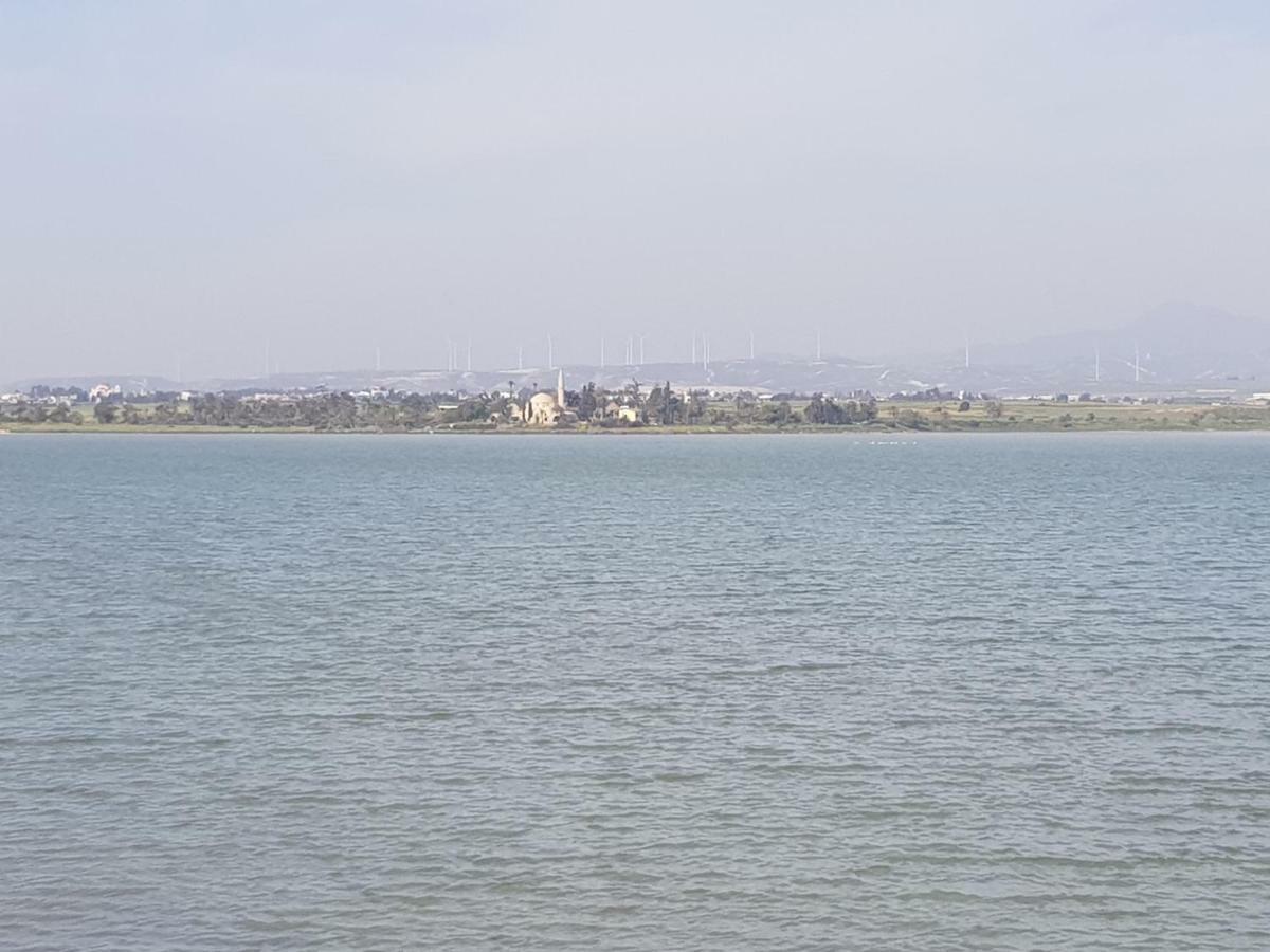 Haig'S Dream Flat On The Beach Ларнака Екстер'єр фото